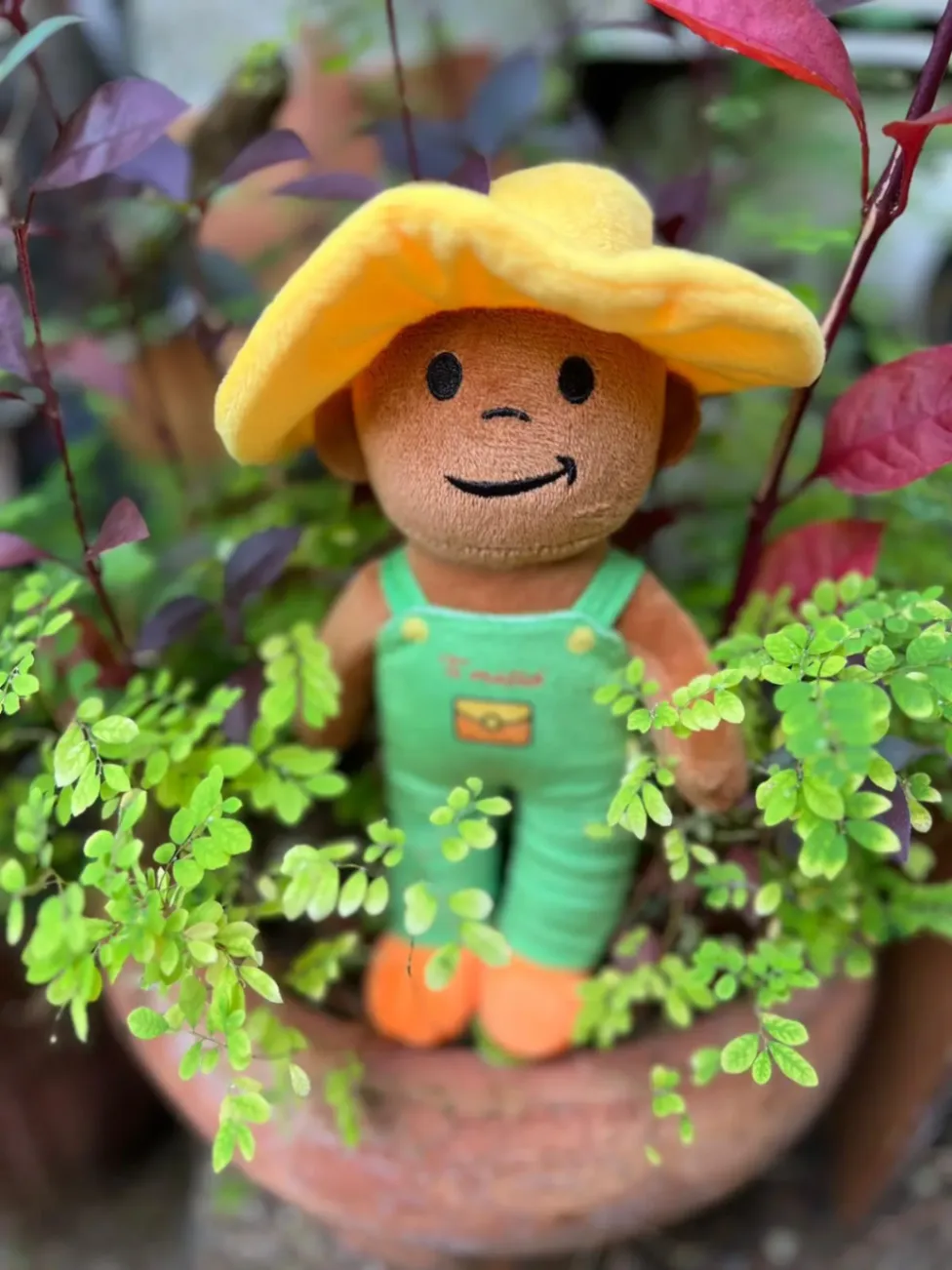 Peluche Ti-Misié en salopette verte et grand chapeau jaune posée dans un pot de plantes.