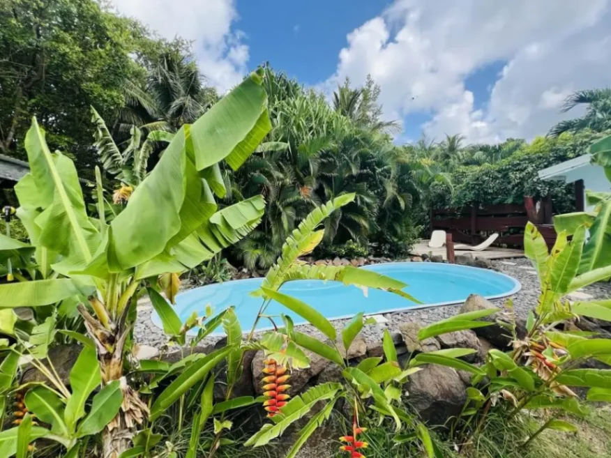 Piscine entourée d’un jardin tropical dense avec bananiers, transats et ciel bleu chez Orcea Martinique.