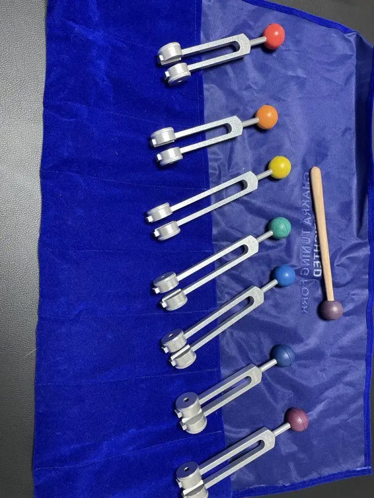 Ensemble de diapasons thérapeutiques en métal avec embouts colorés, disposés sur une housse en velours bleu.