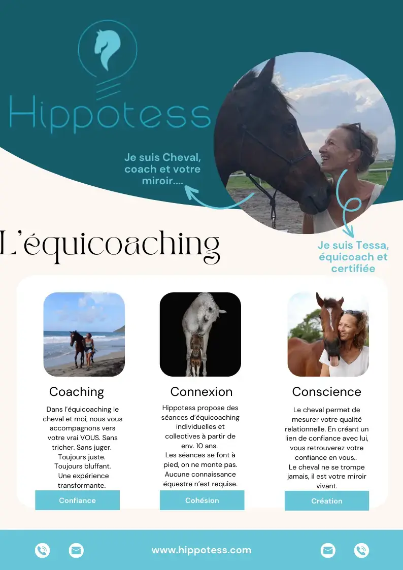 Flyer de présentation Hippotess expliquant l’équicoaching en Martinique, Guadeloupe et Guyane.