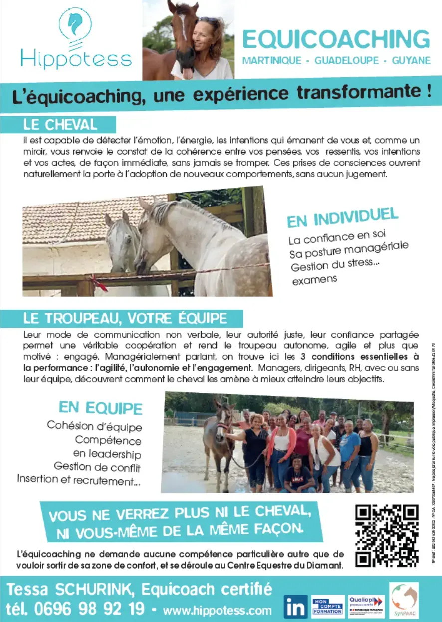 Présentation des services Hippotess avec les piliers coaching, connexion et conscience en équicoaching.