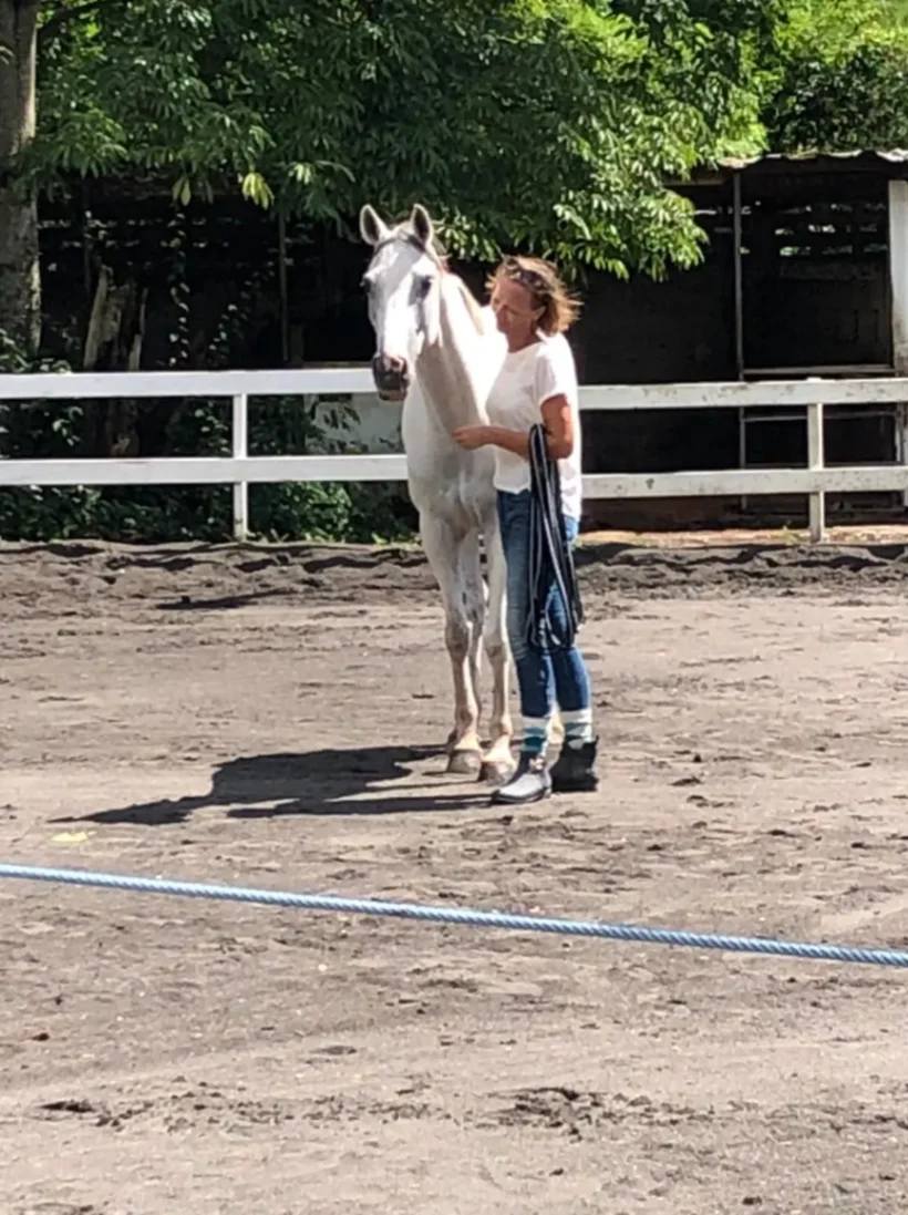 Séance d’équicoaching en extérieur avec une femme guidant un cheval blanc en carrière