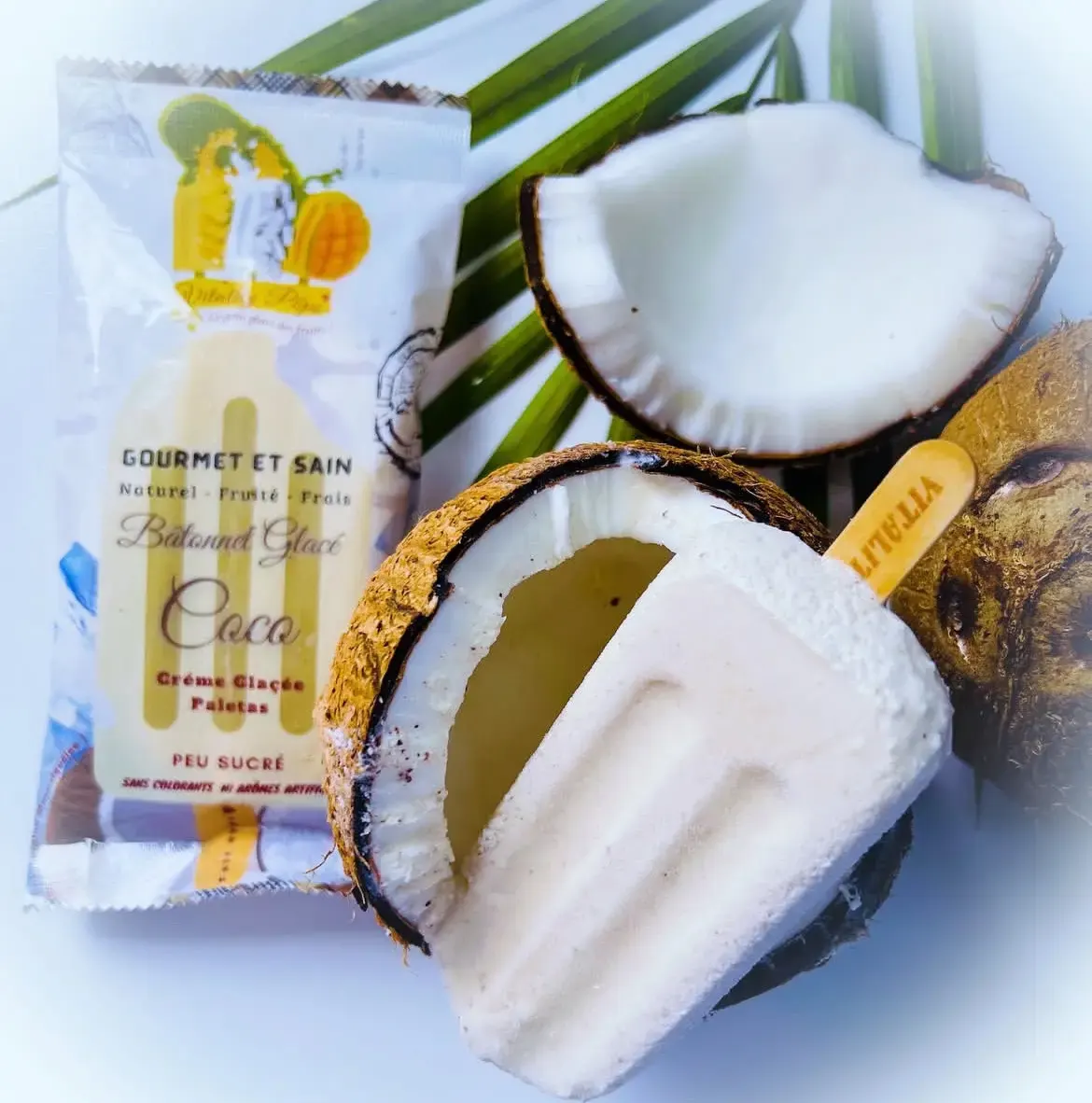 Glace Vitality Pops à la noix de coco présentée dans une coque de coco ouverte.