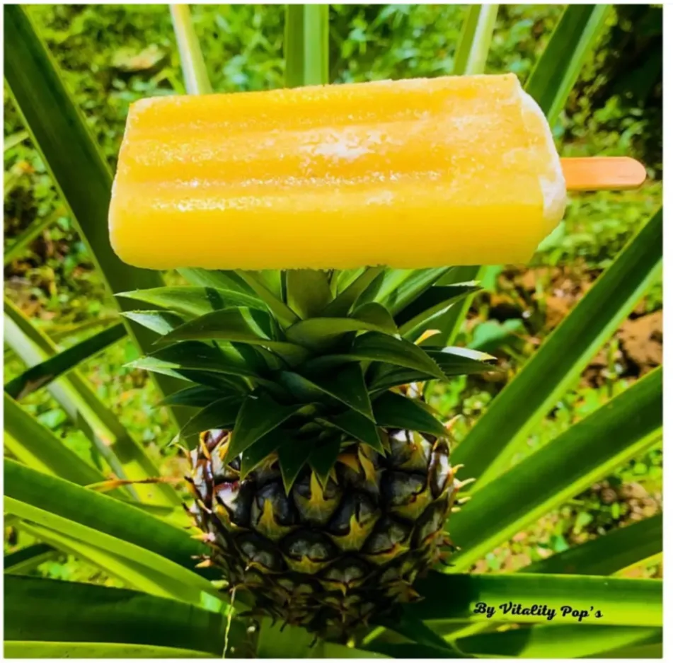 Glace Vitality Pops à l’ananas posée sur un ananas frais dans un jardin tropical