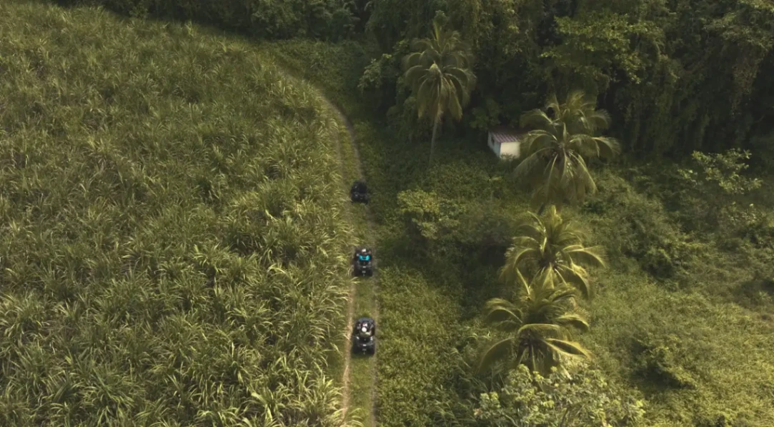 Vue aérienne de plusieurs quads roulant sur un sentier au cœur d’une plantation tropicale en Martinique, entre palmiers et hautes herbes.