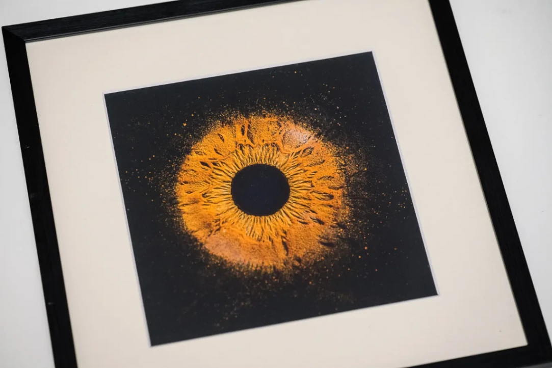 Tableau artistique représentant un iris jaune et or sur fond noir, encadré dans un cadre noir et blanc.