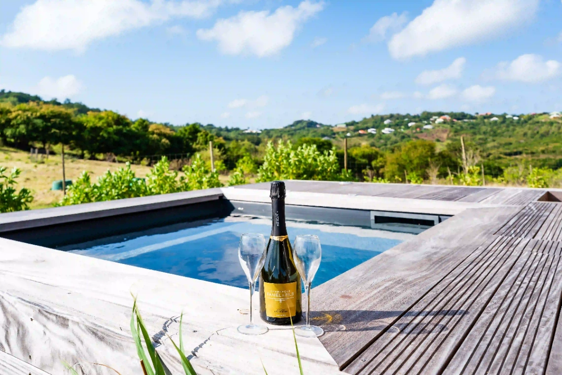 Piscine privée avec vue panoramique sur la campagne martiniquaise.