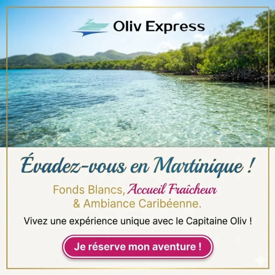 Balade en mer avec Oliv Express sur la baie du François