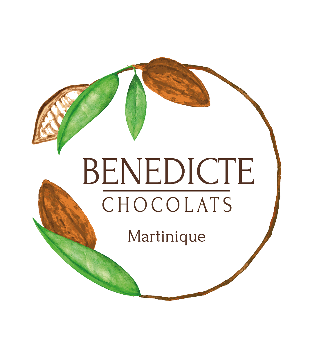 Bénédicte Chocolats